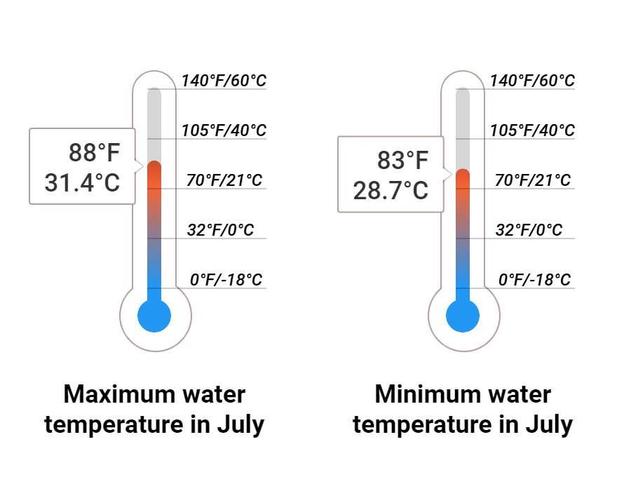Average Sea temperature